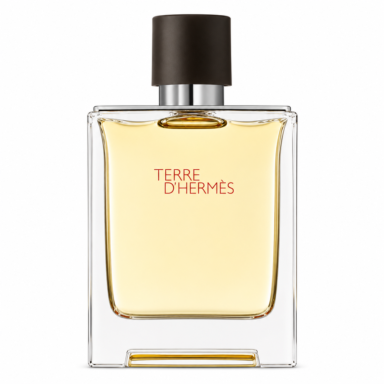 Terre d'Hermès Eau de Toilette 100ml