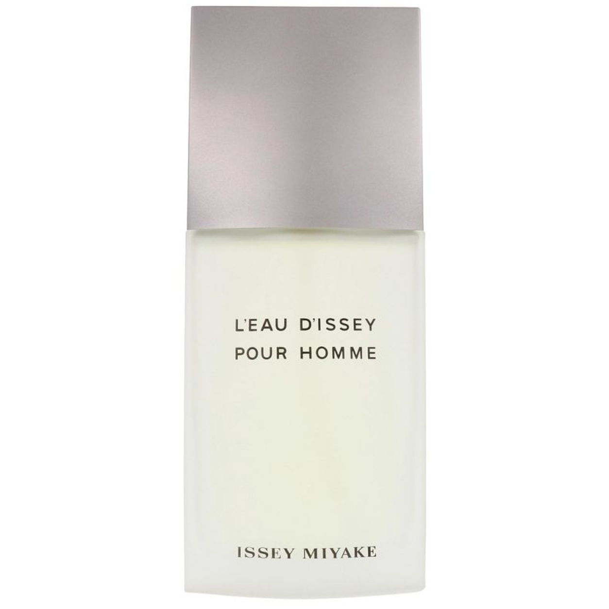 L'Eau d'Issey Pour Homme Eau de Toilette 100ml